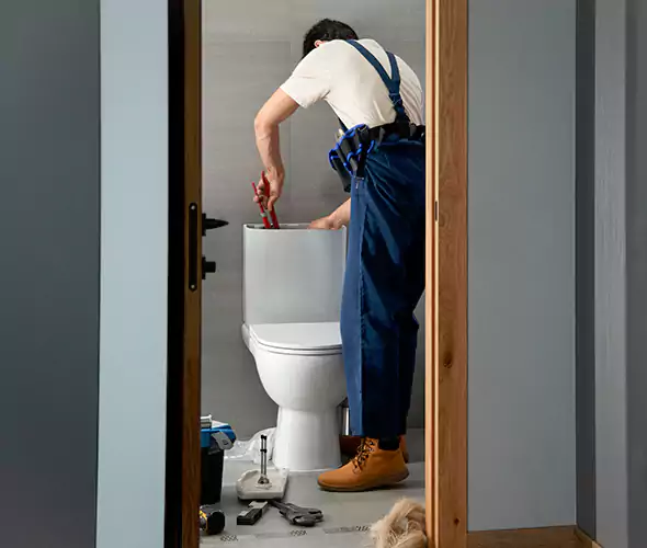 Professional Plumbers for Toilet Bowl Replacement in Gainesville, GA: Schedule Affordable Toilet Replacement Services With Us