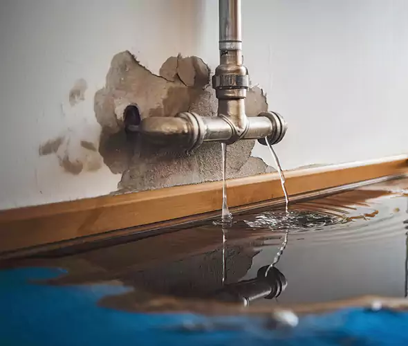 Professional Water Damage Restoration Experts in Gainesville, GA — Fast, Reliable & Certified
