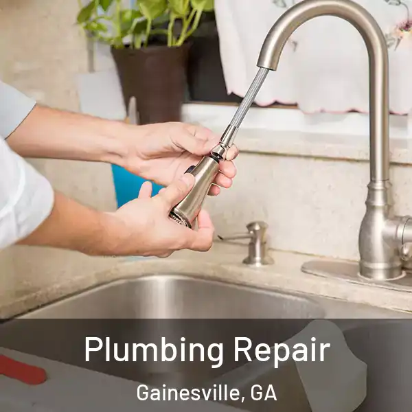  Plumbing Repair Gainesville, GA